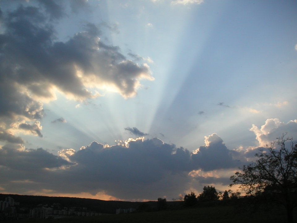 MINOLTA DIGITAL CAMERA