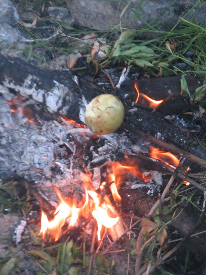 MINOLTA DIGITAL CAMERA