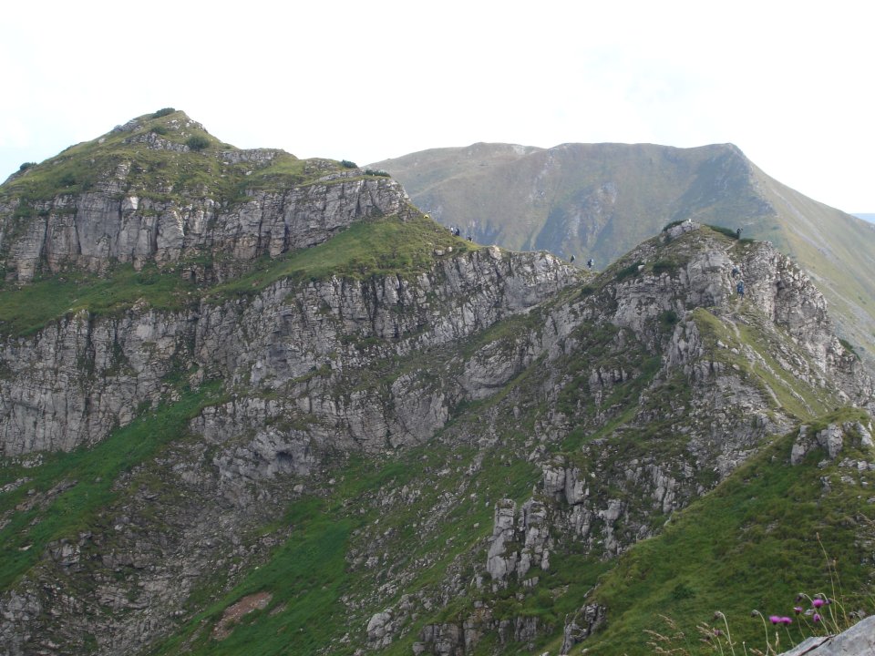 DSC07706