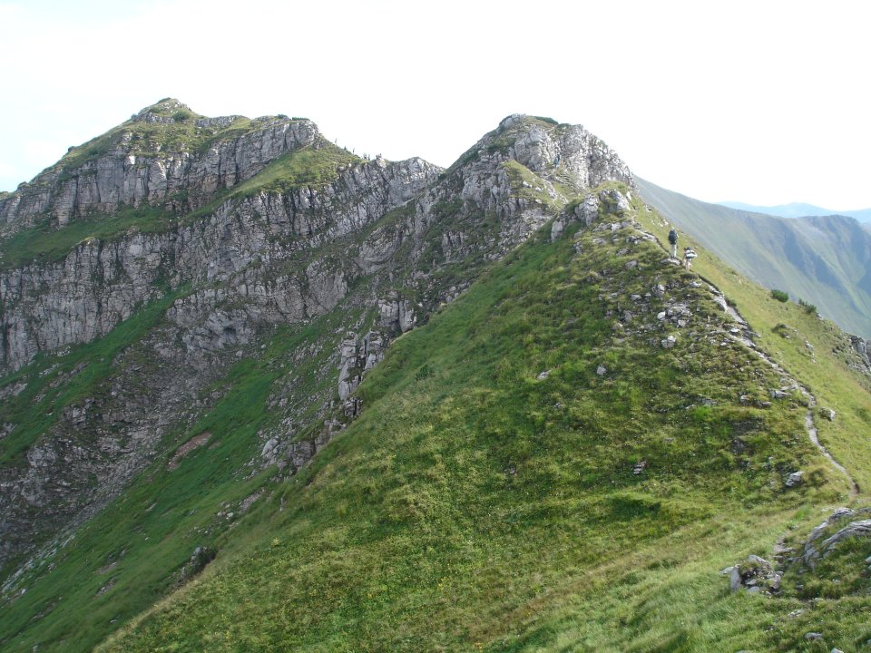 DSC07709