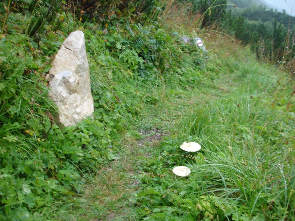 DSC07747