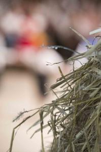 171201_O-Vdo-inky_147