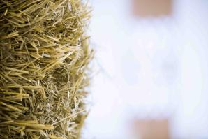 171201_O-Vdo-inky_26