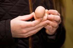 190319_DenPocatin_90