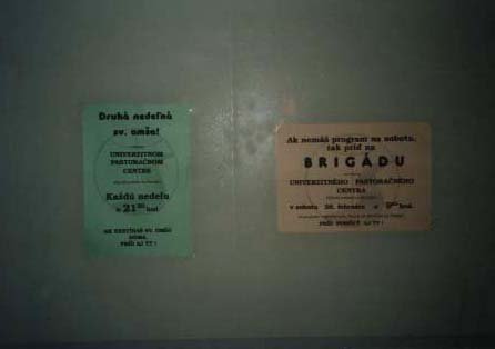 plagaty