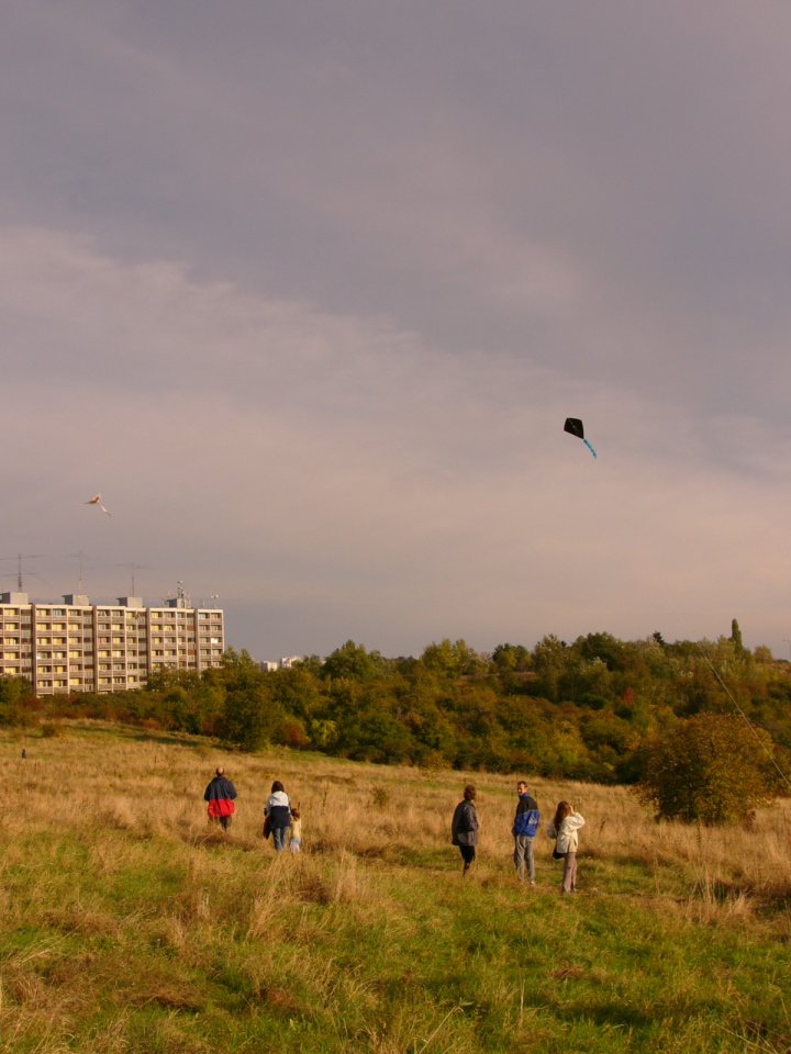 P1020052