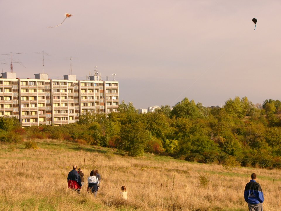 P1020054