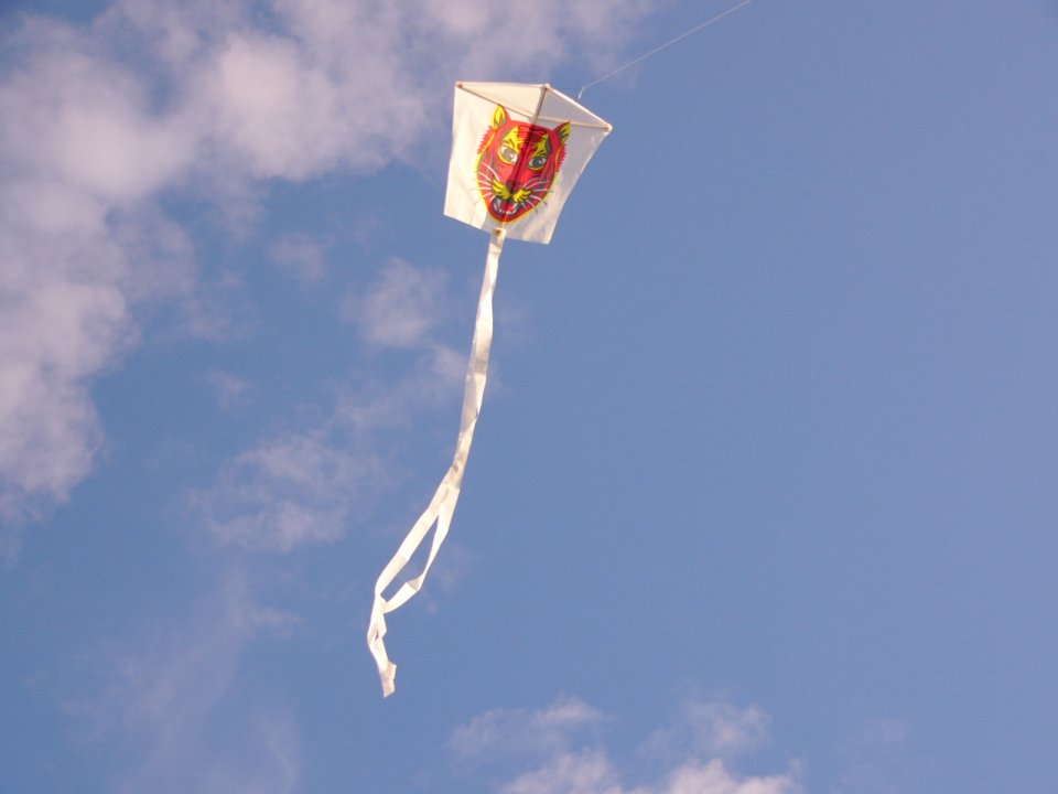P1020067