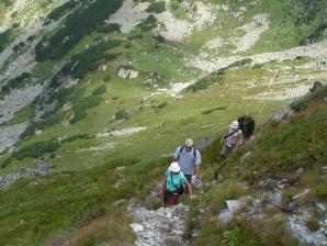 tatry