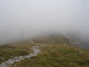 DSC07680